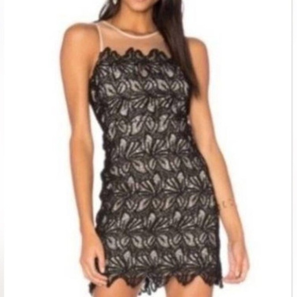 NWT J.O.A. Los Angeles‎ Black Floral Lace Mesh Sheath Dress Medium